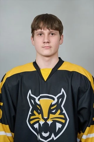 Saraev Nikita Grigorevich