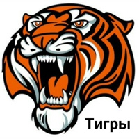 Tigry