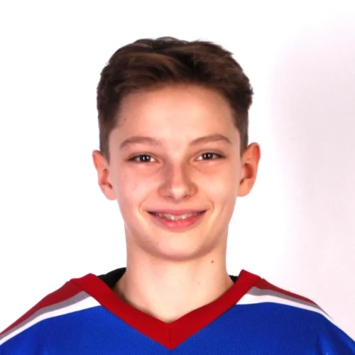 Karpeev Nikita Sergeevich
