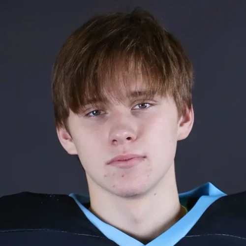 Meleshko Dmitrii