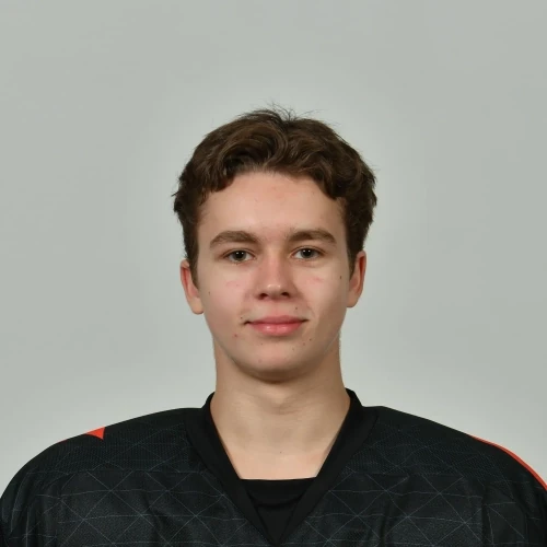 Seliverstov Artem Sergeevich
