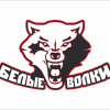 ХК Белые Волки ДЮСШ ЗВС г.Вологда 2012-2013 г.р.