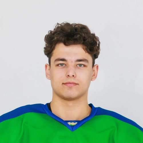Sahabutdinov Artur Eduardovich