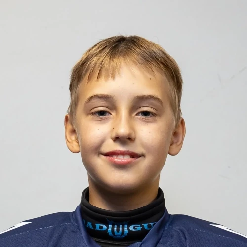 Linnik Mihail Alekseevich