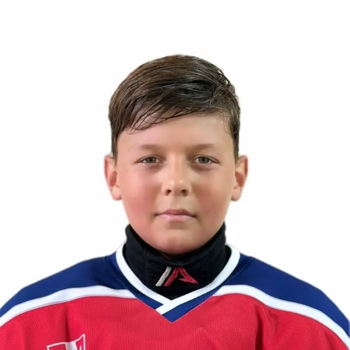 Aleksanov Artem Ilich