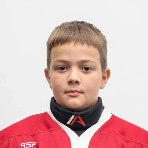 Ermolaev Dmitrii Aleksandrovich