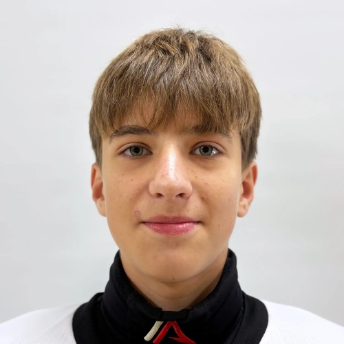 Babenko Dmitrii Nikolaevich