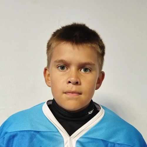 Andretsov Roman Dmitrievich