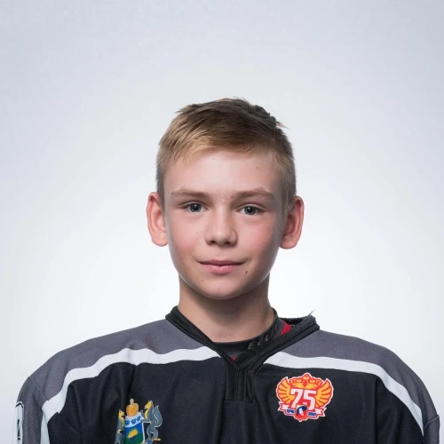 Ignatev Ilya Sergeevich
