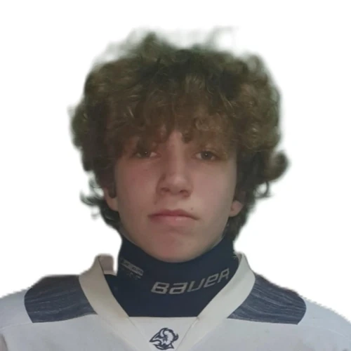 Slesarenko Anatolii Anatolevich