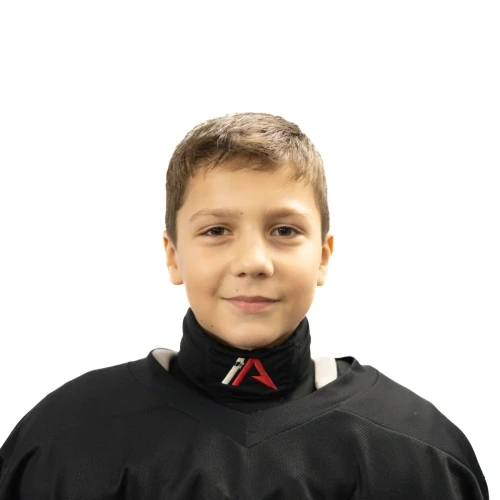 Vibe Matvei Alekseevich