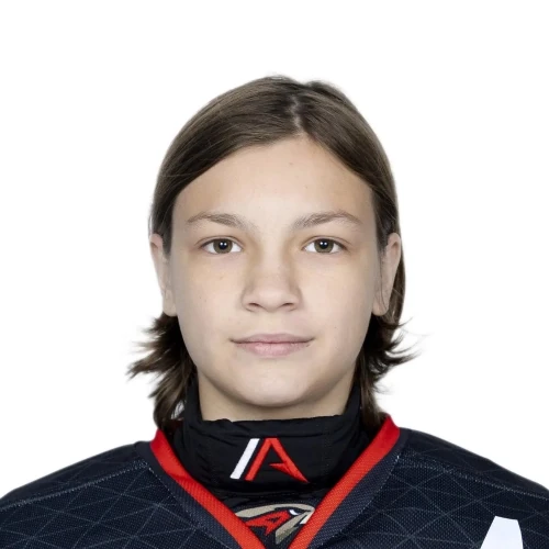 Iksanov Artem Dmitrievich