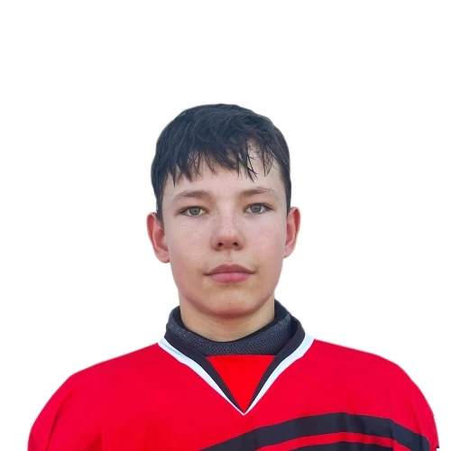 Matrosov Aleksandr Evgenevich