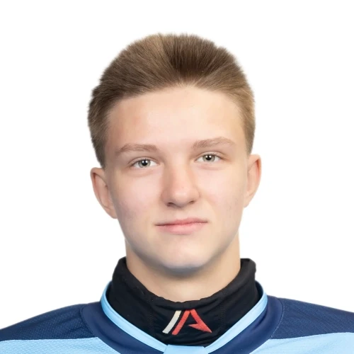 Melnikov Denis Valerevich