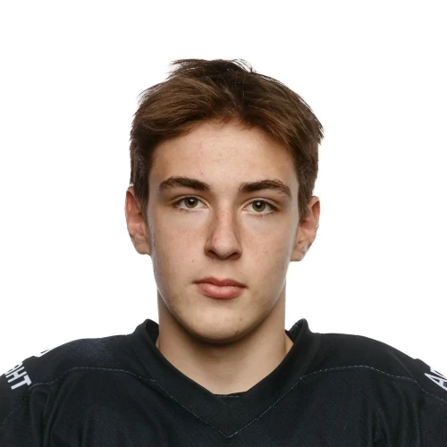 Nikulin Arsenii Vladimirovich