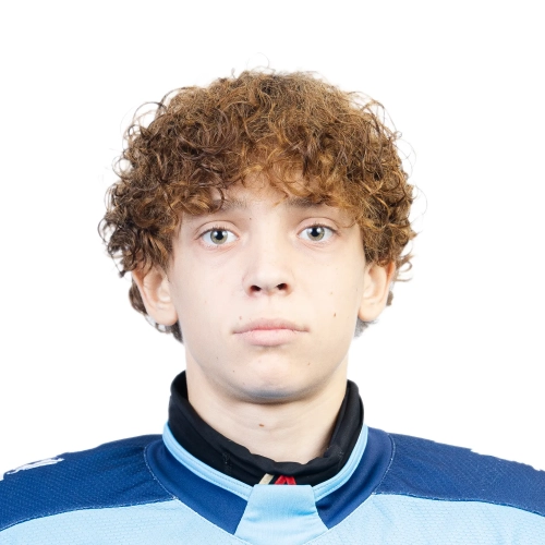 Rahmanov Aleksei Yurevich
