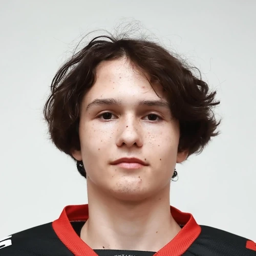 Arhipov Aleksandr Vladimirovich