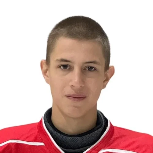 Gorskii Leon Yanovich
