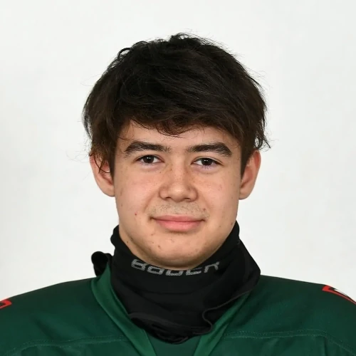 Hasanov Almir Albertovich
