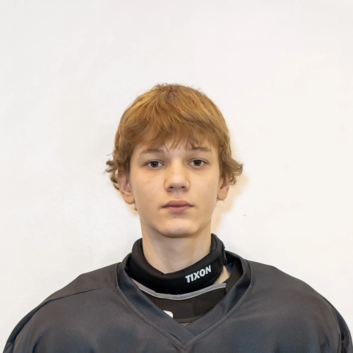 Gubarev Renat Aleksandrovich