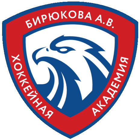 Академия Бирюкова 14