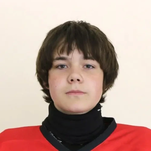 Medveditsin Artur Georgievich