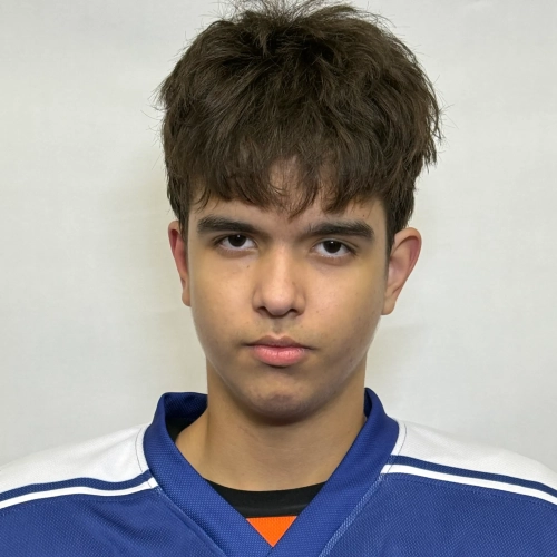 Minivaleev Timur Rustamovich