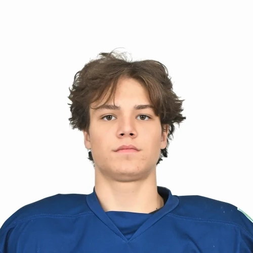 Korotkov Artem Timurovich