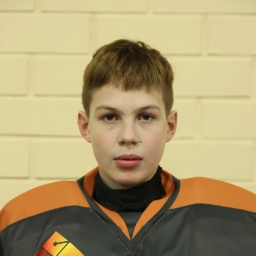Gaidenko Artemii Dmitrievich