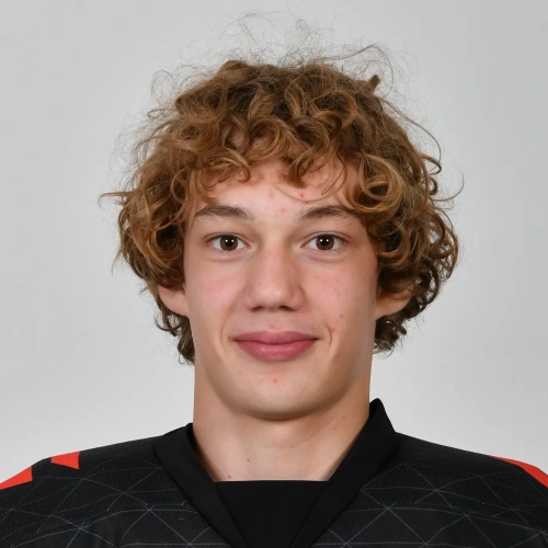 Semenov Yaroslav Vitalevich