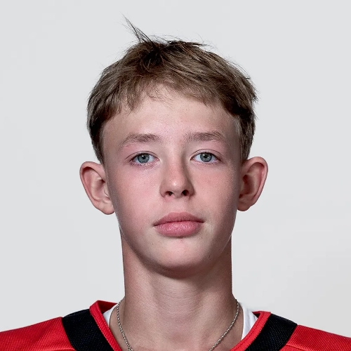 Chesnokov Arkadii Romanovich
