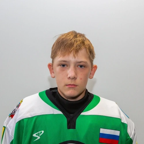 Sokolnikov Makar Ivanovich
