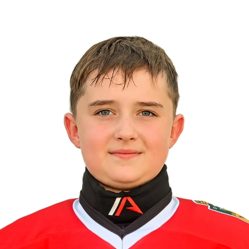 Baranov Dmitrii Maksimovich