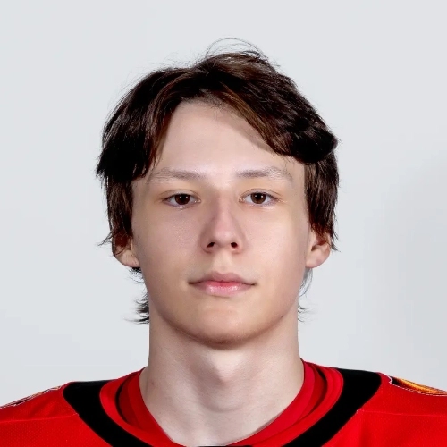 Vlasov Artem Aleksandrovich