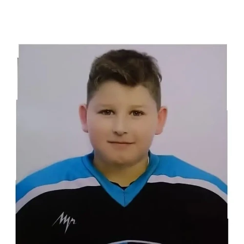 Dvortsov Mark Sergeevich