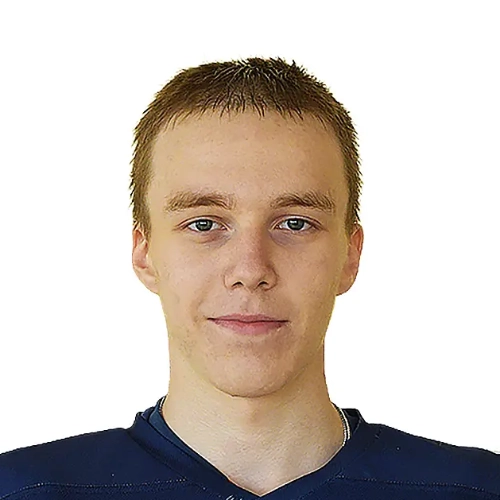 Беляев Николай Александрович