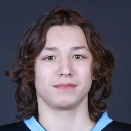 Sotnikov Nikita Sergeevich