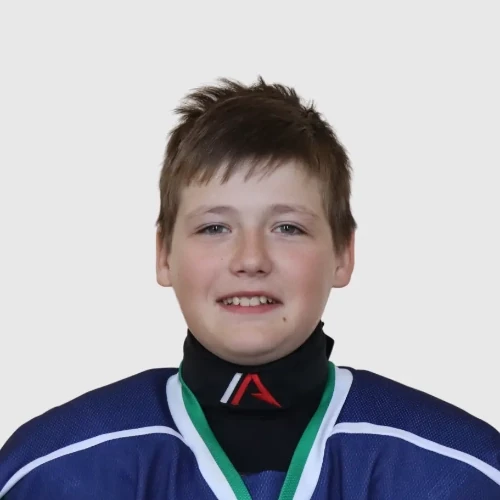 Ananev Nikita Mihailovich