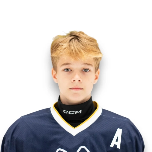Vorobev Mark Gennadevich