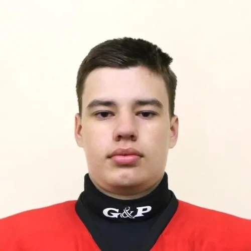 Tyutin Artur Damirovich