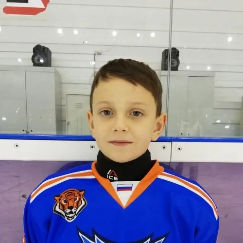 Gavrikov Dmitrii Gennadevich