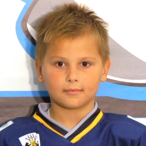 Savilov Ilya Mihailovich