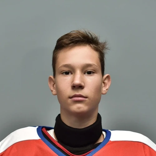 Harkavyi Nikita Mihailovich