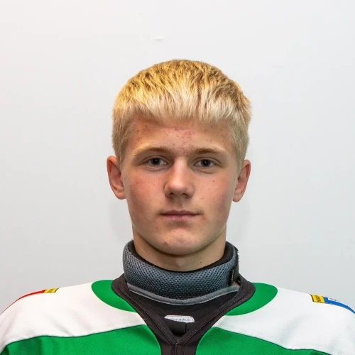 Subbotin Kirill Andreevich