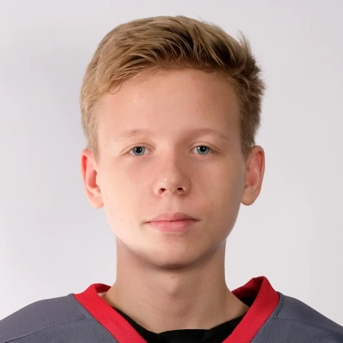 Karelskii Vladislav Maksimovich
