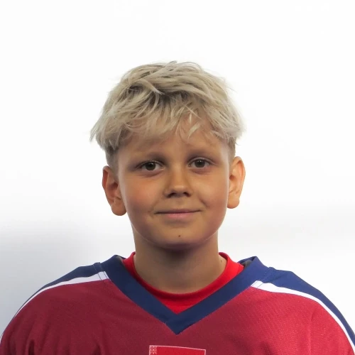 Vasilevskii Arsenii Vadimovich
