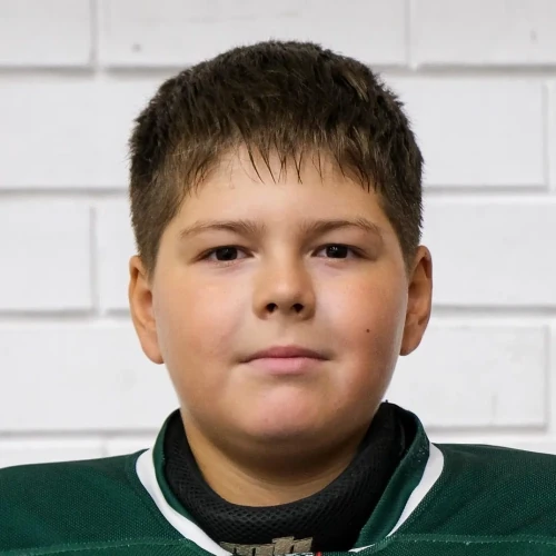 Pisarev Bogdan Nikolaevich