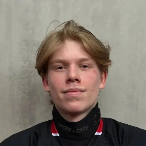 Arkadskov Artem Andreevich