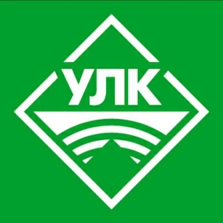 Рогозин Артем Сергеевич