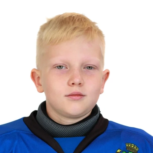 Shumihin Evgenii Pavlovich
